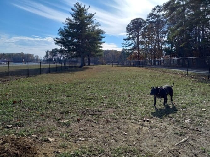 AC9h4npyAuDlvD1KxyNuXGE90DYNRMcl9VeK74Jwwo0ZVVAtjhJklRMjzkf0lq Iy4chM29Zzd8GiXYDBYFpV8YeUyjUPYfTw099FLzhzn1USGcejsHfVqIwstvgWyy oc8DUnobdCXxw1600 h1000 k no