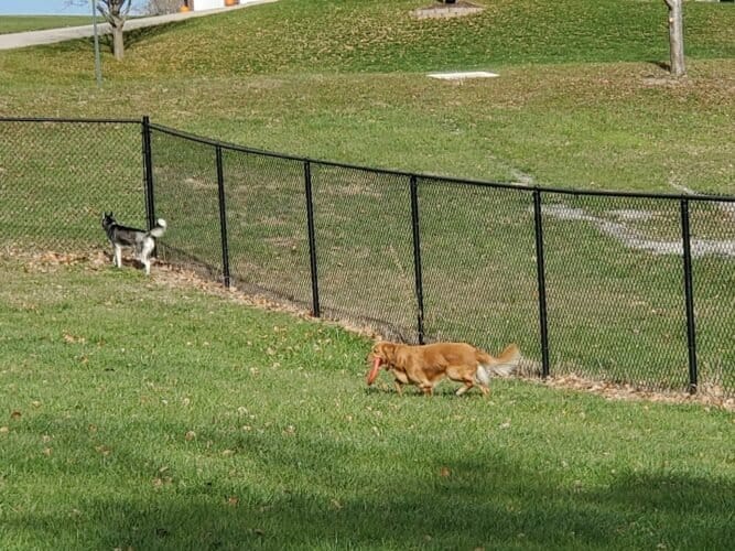 AC9h4npyRP8k4VW8Aef9mOwCp1wVbMJG I ZkiEPqyT61ZvLULLy7JjeFRTEGY7jLRSP4BY6NYpSV00Xpis s0 2DS55YboRGMD0uqdnjKXKeskKYMCG4 aGik6sfx4xAG0WdluBucfJgww1600 h1000 k no