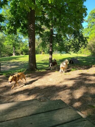 AC9h4npyRTHclquKFl0Mo05 D2KFWQXaZoLIcYprvCd b4sOuKynSHwJwbmfhtFlRpLWUcSdUl2f9FwJ1YAgOJYJbRIoGVRxbTL9ILyAi9P j23SIWf eUe7ZPUuySYD8MR0fXDBdlMSw1600 h1000 k no