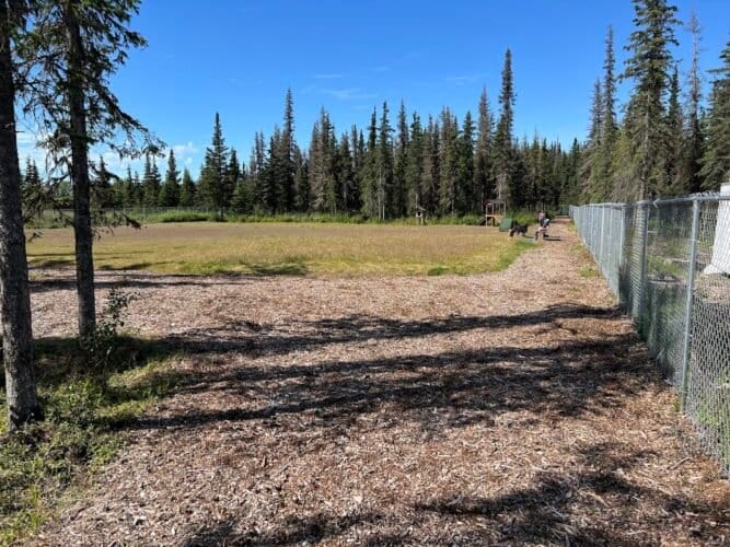 AC9h4npyVQ CMB3Tut4CxFu3xrXl kmXUd YnD RJGi4UbPVuSXUakSiArMWx7v8l5ZFMoAfTP4QEGrLoRFwcy8kUb dDsOPL6W9ElUw1600 h1000 k no