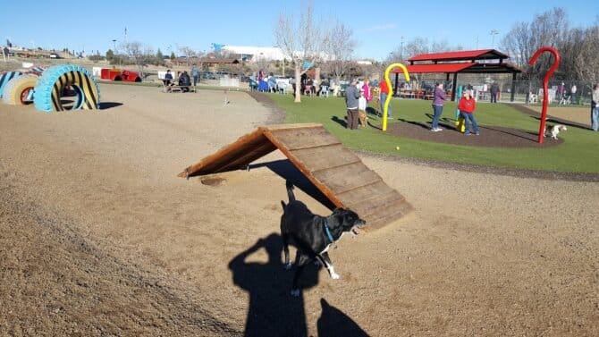 AC9h4npyc0dMcSLdRZojUUduFk rGL3CeBnGB5e9  epxtKhsR3740EONCEosXBva9Aa5qm85ZDTKfYt ao2sB0xPPrES8RT9ff9A 2pu qBfhwefl5WR966w11Uku4RWHBgL5CxH0cw1600 h1000 k no