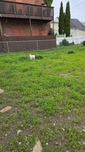 AC9h4npyz9fO lODQtaNhbJhrhvPUgHOn gE5PDqOJBEakE wfi2xTMpsVLlN 9WWwsZixfqlfnhTyMXkDb4F8THz2n0AVUBK2Spj4A2KmMhN0poPxtZxVy3N6ZBLOgOOx5e0Y UBfdt9IuruGiEw1600 h1000 k no