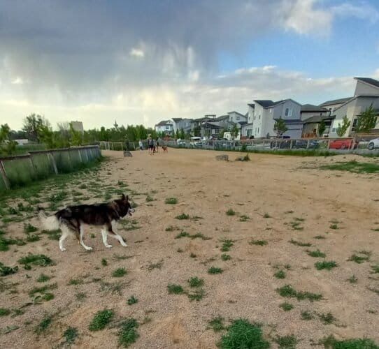 AC9h4npz9nmipHg0DOxZ4PKR7yivpst0OqlpdooAl PPC9MJiom7sDpiRk3rjJPpUuvbEmLRDZPlmXlVwaqC hM9IQdZ6az7Bnu8gba KeskK JlCNkxXYuZcNYT C4XCQNcGx3ugNqSw1600 h1000 k no