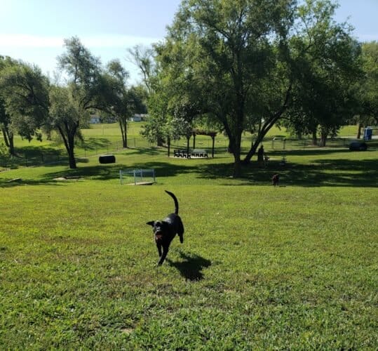 AC9h4npzC2NDU2kZqmkveFfqlspN6IVOk2oh8nyDn2J4TQGAPvdhI6AfHQhcwIPRhC W8UcBU2BgCxD4KLOBpsXqca1g4B1gsVaXblmOyp Ho8G4H2YIWu02syX13gQsPGoPBRpNceEsw1600 h1000 k no