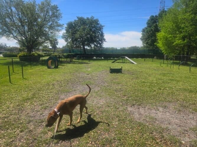 AC9h4npzLeso70hhQFSxqE49snE3Ca3wd74R2xhpEO6LcuEmTJaAv4 wQZFLCmNIEziAiRCOIoeEKNsZYptUlHupoNHWE6vu2GAshGpJnu4uXEoNK1jFAwXFU8o2 MNNZnWIbZmcfjCxDQw1600 h1000 k no