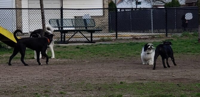 AC9h4npzRTuh3wDr6Lg5ivUTNmiNtTT4D5QofAtZpgoHameEwyG X77sQgPHlASxXzG9DEQw8RPWT7PITZJMQWja1gGJGCofqpKd6aT 25eI9rUo3KFf Php dA8itj0MNcO1PJNWiEw1600 h1000 k no