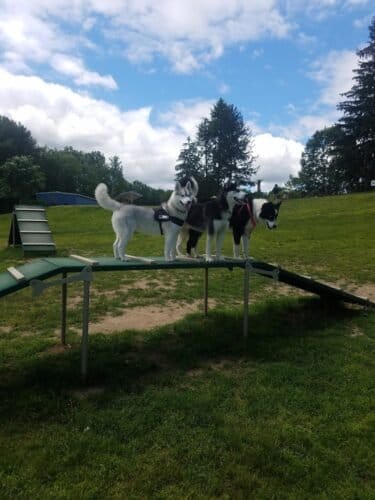 AC9h4npzpNV5AIbf vhzH OmKCfSDyhDN6JS71ekPZ6prAv9AfHZg1ItXZToYxp dVl rwx1vZlNWCESrWm  bYp9lA6n977pSgNoyRC33AKDZK3sKk4Gcy 2yThVO9dbW8iSviRNTkoHww1600 h1000 k no