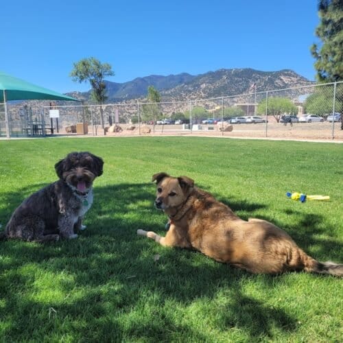 AC9h4npzrNeSjA2ftcnc Ay8K0okltyQS7r107GPsd bz51IOxFucqsW7xiwBL9Ir TVqbXYRxV1 PCPHWOP1Kji07u7KVvPBmVo1jIrgbz8 qPu907jTyNvJLYEYRdMZG fZSeefoP5Uww1600 h1000 k no