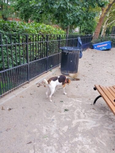 AC9h4nq 30OukFw82Me9eK HclcvEGrkmPE3W4gU0c Q U4 NBHZCqNIp2ichxASwEUAGFFjtODGosyZEvk1 8 c0psnZSdSrIdJzy6OxfPTStImuUbmxFLcledi74TyN8 eeeo1ggPjw1600 h1000 k no