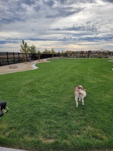 AC9h4nq 4JjMwp2zersa5NXEP GXpDrowtY6mcLoJ4tcjdas5vARkLDkxRy1IbiJAGeacJokyAEh34TeOURSl5LwgQRo9cP75VZARzFMo3ApdYqch9M20B4oBsr6QWRZFI7X76jwH Luw1600 h1000 k no