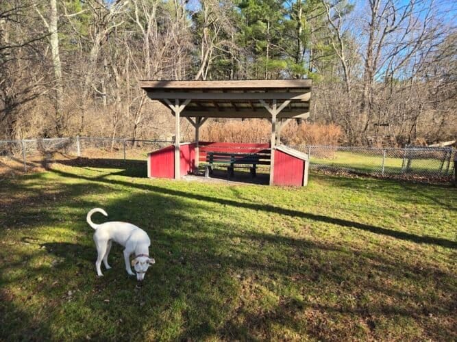 AC9h4nq 9BChqmM mAePqx6XGRoK6IFX kcnwWaLdQT9lvT8S4EeGZhiK16a7KOhJCMJW1G SBpg27ti5tiZu5xi1C75be0BSe 24J4BPQuDCwpMeZh9OMg1cSD9bg3JNUHUNaQzMCQxw1600 h1000 k no