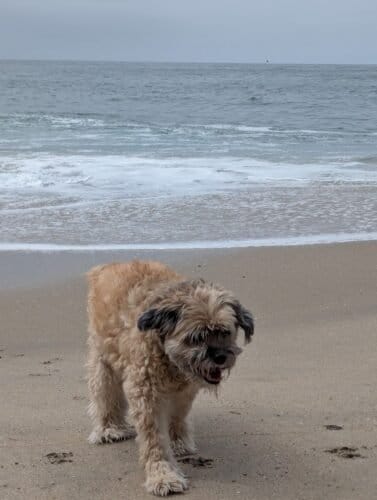 AC9h4nq FSfKlgxeSW9iX3zuHH3nHpONSV 4ehsbHeAfh86pG9zlWDLToXLeYr2vyoV97kIfjlghmCFo5hW1lrccjEOHrAbyWqyd3pRioA7J5AlNfQw1600 h1000 k no