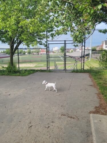 AC9h4nq LMt4KW SQWqh1zVcDGVcS1IEpegnjduDD5I JKrPq5SxnY0 RCuxD1asmhnJxcL4n5kytvZBTVSHUeEIQg3W3LJOfxzng oVKkcYQymm3wXOBWPYES6cRKeozpK67Xu5xPli2ww1600 h1000 k no