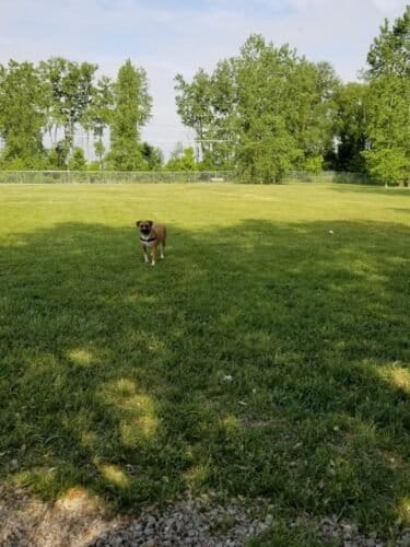 AC9h4nq RDk FlLTQrpHe2NroF6pgWv6Sz5cL35fLzl2c8AdDj4C2uWWl1g3jmqppvwrHuWm3IX6z5BzLR0 bY89nKNA2x61Z TbCwg9rYcuSltc6Mc5jO649IOG7iKT60ILgra9SpzQw1600 h1000 k no