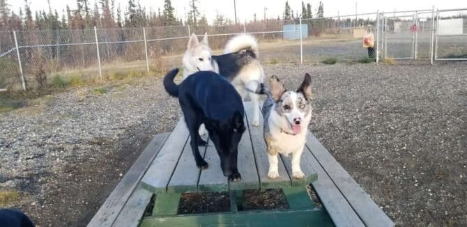 AC9h4nq T1 9hZ78scnYHADb7K9u MfkxNJcS87rnc1BtImWUUvuBCOL7275XF3IKGdcN4AaKdKGAtZo1s3oqPQ7lb3cP1YiiJc1kQIFurxaR4RGXrpEDzrW2GRewZ4Qya8jjck13S7Ew1600 h1000 k no