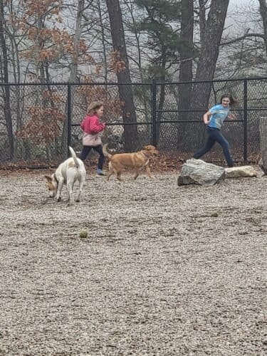 AC9h4nq WFfiKymzOWLPUBGsXoA5m6hWce1OURHCo9Jy00H6lNugkputVzeO7w2aV6tUzhi2qg3afMuCPVquMx7WNmCdayNybEPX5 z4CRUO8DKBWXsbJd04lDtAn2aQQ E0mcfKkBWpPQw1600 h1000 k no