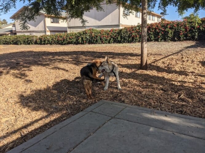 AC9h4nq WpGLYDFXWL7sBxkdk45FE1htH0p4ET3GPhl9IeZ5n DfargTN5f9ixeuB85K4yXL7IQeZD1wkoojrBsa4mwV 0cadmHGJ68mUk7 maz2IUrOuWLIM2pzSiI6hNKRU08YM4w1600 h1000 k no