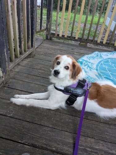 AC9h4nq cqphDtu2g01Ju ZLePKdyEYS8s0HY7V54JW55XlDkNADjXAC3KmmuyQB0zKxRxgcggYoKuIqR48 AAUrm5iEs NbCKyobOh NfCwaqwvd3TgUkyuJDpJ03T157asLZonDdBcw1600 h1000 k no