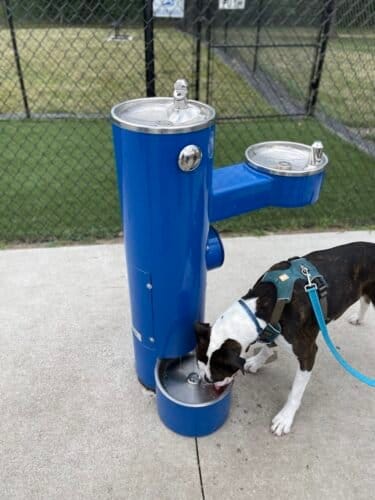 AC9h4nq jXX2O hw9rMNm0EFdC8jMdbsPUM6Sa24XqOuSoIR54wLKwZnhEqFudU1qKYCtc 8gIRENh1dfO5mvL m wdAKDThYV9ORT8aY UlgMFJ8FceJvbb2iNBZhp9gjvoZkJviBow1600 h1000 k no