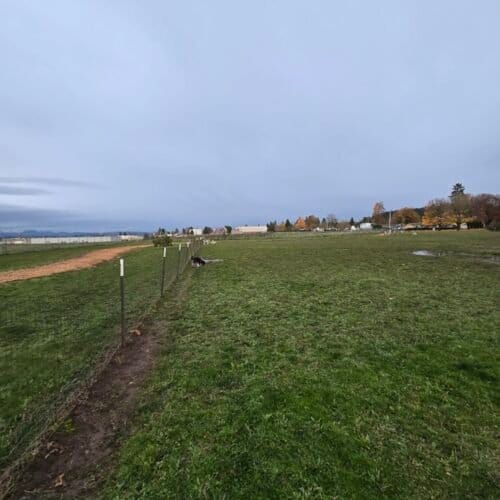 AC9h4nq moo1JOf5obTaFjBPvQqYU6XJgEk8sB3xFBGLFN4 KPgZzCDUwI6HSkuQZa1tD7cWWW1pt2 leGH0qNQH8sLLpwVQ3JAhyMxrrQQ7dwmLr7Z5gv8VVoMhmXnBzNoSw4uUv q w1600 h1000 k no