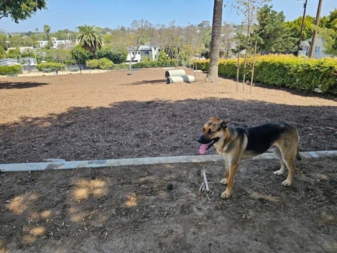 AC9h4nq0 5juFja1C7rdIrgQS0pzVzeVDIhXQdZRT2NPcWsa76rWxM14tlDMVXyZJgS xBgdscMqhmwvowHhUjd1IflH2QRFMejCPXqgplOEVX1hNiO4TABtYVHvm IFrPft5VhAxrvgw1600 h1000 k no