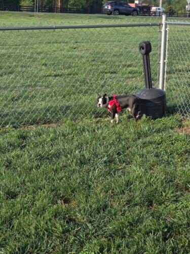 AC9h4nq003AyTb4lwDG6fEcLtWj2YnZOH HEcmLYYsgcatb2vpIJH1GbZ4sjLbVAALYPEpPcY7yoIAyfYLksSezL5Tl8tmVowyyRfX5KStylSeHGkQMJ5V04LlZfRWhWUmgM6 1fkP J3Qw1600 h1000 k no