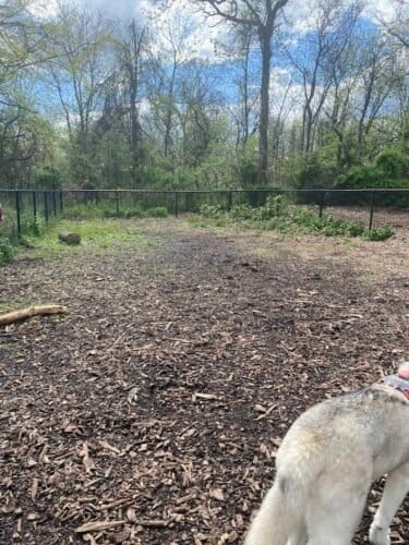 AC9h4nq0OWu1skmsIs v9IayNV40Qvy4NRjwV5XQrHC2fE8K4q9Ab0CpzUWbEpJ WpfIQl6 Vgm7fKNCNmpqILRiPMffDIVFsDvqYQEQLRe4B4PIM32lJcymebdvFKpTMRSnJka7VWQw1600 h1000 k no