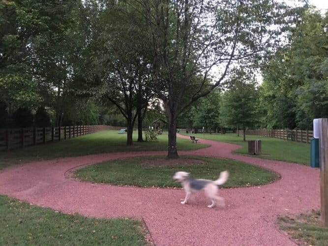 AC9h4nq0V 2X9nUy4D kdDpkj8BcPtDl5mB6qSWcuJVjn388AZ8 5f uJm5O37ZIVLVXnZ7frV9YPT6vlG6ONGUBjESfy5FBYFtFj 9GN3vIzZJdKaC1y5 qZNfopB6KskHnR0DaYItVw1600 h1000 k no