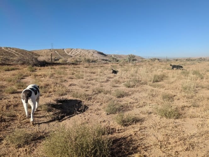 AC9h4nq0a0OylkC782ELag1537gmrvcY0T6MrB6 zd7kc6lfIQQGjv3zj0olOqGBl5VV8P 5uRyoT4QrTGVtYSIe dCIa DvpmTVSEk3cWn7ex8k5ctplMPZ2yOZ7CAjgI3yAhmGyn 3w1600 h1000 k no