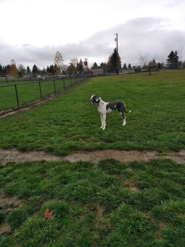 AC9h4nq0e3EIWbV 7ZfEVlHh1XEjpgJlyXIzYlUdv9fNGxP3wr4vkEYVyNOuSiRyx2Zj ZweF1ViZP54uI2vPAFyPVKesncay0dsBaKOWAw1600 h1000 k no