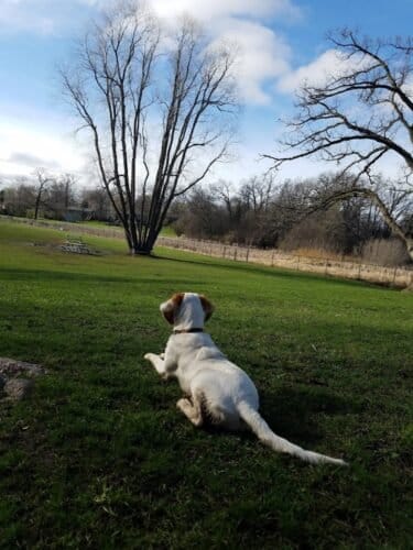 AC9h4nq0ftfBGWFvZ DwxadrA5r2uMhdV04Z3CaZkMm3FCt5Z7aTUgcW tVDpRQty2Et0qg5kLbp3TDuYzLeE623a8AS3IwyVcON2 WzVJbUl7ieO0mIOl0sAyap 4W6l3jaVCRemIgw1600 h1000 k no