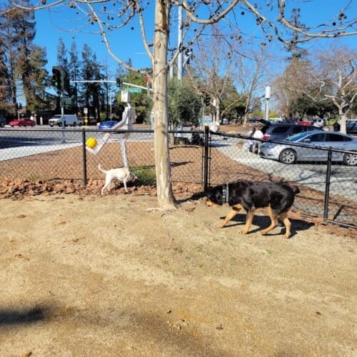 AC9h4nq0oObSFZlyoD0LfMWdhL1TlnLLXMZqF9DzQhiydxhxfyPqaVwnGiSLP1Ul P8S6ClApZhe yt54fH5A5rr5j xx2O12aHLZPES MZi2vPomkv8h9M0i1rSDT2DcTzECfQAlnoggAw1600 h1000 k no