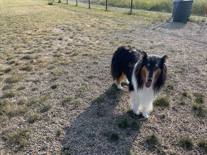 AC9h4nq0p8eOr9 kNgdm ND3ZPuKYKLs1gUqwsj7px1BldJFj0EqurDmdd3zH8H6RXMCcBO44oxUWAJx9b0O0ZoJkZ5bWTxntLJ0ywo8IFaxf5BZeFL2n4J e1Z6RyypWExWEELSDfGew1600 h1000 k no