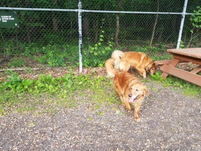 AC9h4nq12gO61Bennqqmt9 fs2tO MwCbHf50lo019FGAlxcZ7cHMk5WgzuNSy9LvYognY0EWS1 h6Gp2r233k3sSdkkpt1fIneoqgQsmln1Os6LkO wcpJbFcPLZrh8g kowMrfHIUw1600 h1000 k no