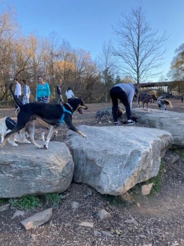 AC9h4nq156jARGKoIUSnP7EDfWUzldNjASPVEqjtPtJL3zK3Sxb6EpgPQnzYlOG3leYHfCtL5chgtUNpcO8pRU1ALiSDdmivrV8aWjwC0gw1600 h1000 k no