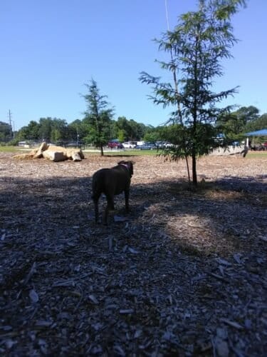 AC9h4nq1 1xaIYiqaYKvmVK8sKRJCQsQdQw7OcLOMPC9cQ ihvHn2hulyTbYzXz9 A9zEU7HwzPmgcuUaxu6yKhiqtOWaP6Lqt7cD9Lvawgw1600 h1000 k no