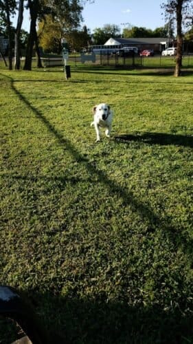 AC9h4nq1iY7vqYs237BtLSwwy5OGT7P 1KlLRoztsiV9IsvkJnfoHqb5LWdcN31CQmG8 VinA38YkACTPfIQ8I7 pn7CPxyidfGfcGe8Wam66BJtk b9MjcUagOPss4H27VH7KdR3jEvw1600 h1000 k no