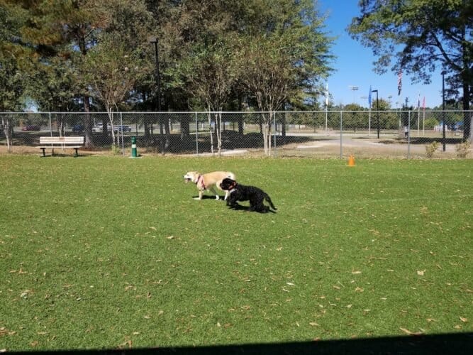 AC9h4nq1j5d3hzS5lDh2inKRpYKTbQZ7IuaQpQm8Hkdg9LM5tumkMySty4W nhVoWGN7WPwhfbGUQVENnV84X5iGeEi7pc9nSQdJu bqLn02M1gqil8lsG471dakQ9NQ3RgXgKzxPIOuyww1600 h1000 k no