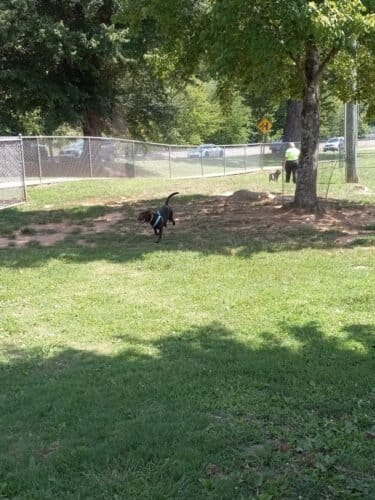 AC9h4nq1wwqmBEJMKkw40uIqmgi3XN1pSL cxDRC1aXP6uhhw7 Z3jJxGw lSJeE261U54 xXxJnQdK2Xxj vWeMi7AoCbIxj5EZAXLbL1rYcaSQil20MHtWwztvEXeXpVg4DNplLZJBw1600 h1000 k no