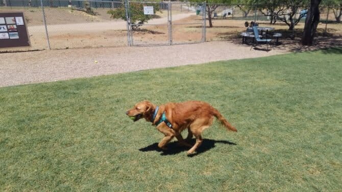 AC9h4nq1x9HpDbVR6threolv6gtYtgNa2K9 Wxd7qZ0fcZbCf05tMpMPQHdNzK6B pTZabvDWoeqW R2u00Ur6sslOseulysKuDf9x9vKuwyrfQwcWRI0MMOD DN33ZdHkf5RlezgrAJdQw1600 h1000 k no