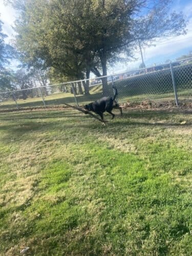 AC9h4nq23Aq2hYHvXp6MWy2JR 3dil44r9sViXoynHDWIYF4BUV1ahmippPgRmblkwzEf2uNvofLrJGYw84u8fVGD2cIKRkA5Xzeq d5mbOjQ24t3tGfOG6J9h3zRzhQWKB 4vSN0UAMw1600 h1000 k no