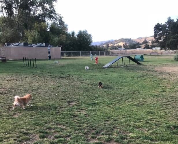 AC9h4nq2LjQZfIVFiJvDWHmVSa5sfSILgYWxSXdPYYohwm cy dFBTCXql3BMy7ICAotGHL28Ix j ri3m6p1fIe46tg NUfxGpHIOefWz9ZKPLlvKJdVojUyVJkY6PF6N9o0TaHadJ06Aw1600 h1000 k no