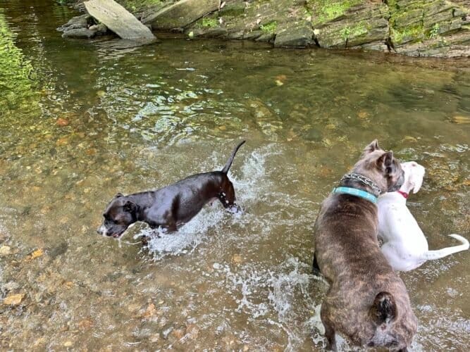 AC9h4nq2RxDg3ucBZO5iKKR3Y28hOOgsBMyEQnz3c38sVyyv Ypr1Mmi7yARdwKlaAExaUyjjH B4ZOQSbVHwt3E6KNrJr6d NwnxB8koWHCh7L0kcWr2IuElr0iJ9xf OrSfeQmNvQw1600 h1000 k no