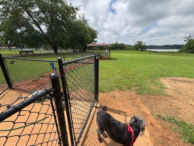 AC9h4nq2SAQvl0gi6c7hNFwz6CTAsUffKmtByPeTuTsg0Wl9usKR SCRRhKgeRme82XLVNdML3PiJHO3TraNOZfvtHNfNSP8IHtU0 Zkp2PO 47NI7S80oaAJ9L38cUgD eYmx1Hcl5ga mYkRb8w1600 h1000 k no