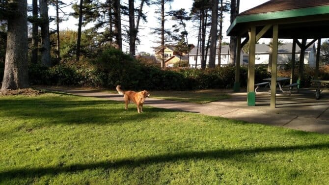 AC9h4nq2hV CAf4NT9 mizZ4VoDYmv8Ees2uphOV9emp6cLELgIdFJ8yhjtbvP1CeX3lXYbU6t jWtG hUXeq3vYFWIgX0X2I6Erw3QQyU RWgBQaJTLhgnyGMuApXykagx5AxUKZF219gw1600 h1000 k no