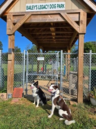 AC9h4nq2pI6WyudF1 iBf03nnRwQuGebTV250AqCFiJUYYVmCsngUUzNx32GPMy26 XelH2YHSFGH0hR087hdlz75d1puBUroKqA HYTqYow1600 h1000 k no