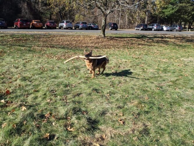 AC9h4nq2ryEo8gnbESacUdF8 OONzVQc1laBvb7A5z4cInlM6K8sEGrBw1ZRbXSedTsiVikaugkE911DimhNCNkrEhYHP btStNJBQocScmJ plI3YOmboMK dT 5dSgqIC IKC0A597w1600 h1000 k no