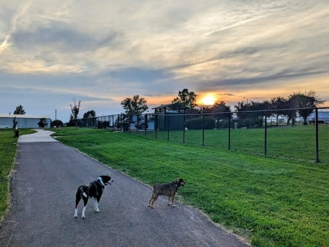 AC9h4nq2uHhnb8ejy3N0IsjY5Cwskud6Ekq VDiqHXISFScVX0iiMxQy2gVY6Th8rDczP M9uFM1c5KChLDE CHxGDkVWy91F4KXpHIocEkOZOAM zwKSS0XjBYAMx3k2QZJ0gr52GtMVAw1600 h1000 k no