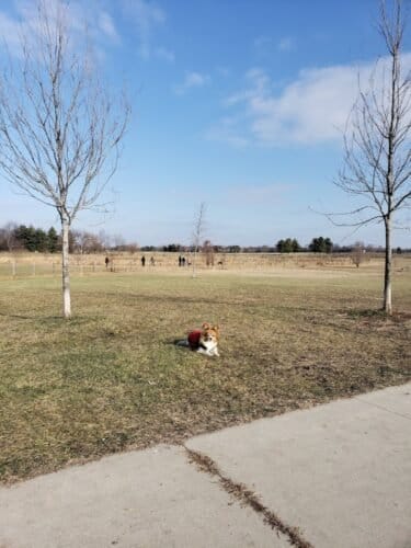 AC9h4nq2xS4gthK8VW1KbelANLyE WFaqJw45DoqfnXq22XOeaTTainKPSOUjYHbX8pxlUFReCB60smZMRDI7gMZNUdMfFbR0xhovWpIsio67F32ObLbBj5TRtcyq XI3ZlVfayqLIQw1600 h1000 k no