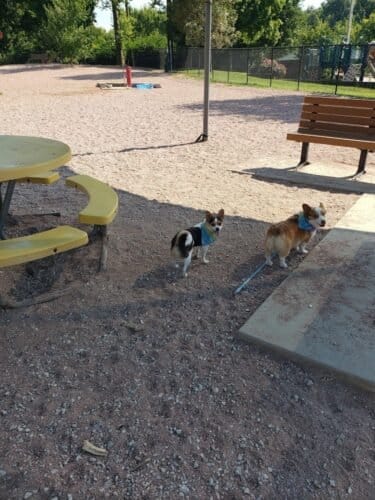 AC9h4nq31J4IGMGWINCHohmCrp2qAnhk0RotbvUbJHqQKCvaj PXyRa1AfYE1F611YAk U62mc 1oAqps4haDqiRB 7j sd06WaCJEle rqScDl00OugRchFW9p6uVA9eyjxbVlmL3 KyQw1600 h1000 k no